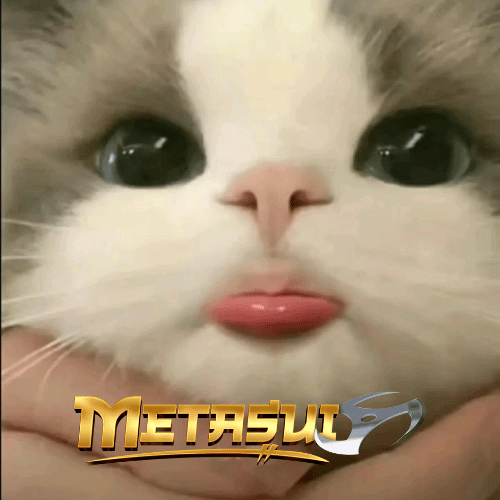 Metasui