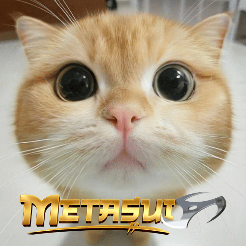 Metasui